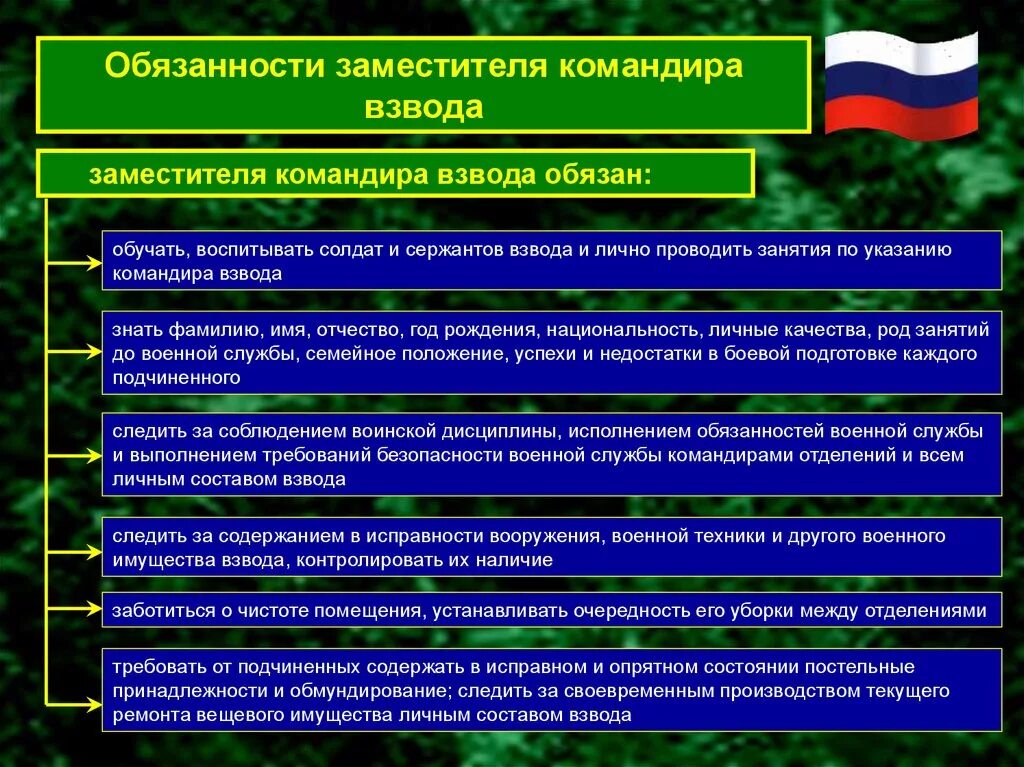 Заместитель командира роты какое звание. Обязанности заместителя командира взвода устав. Обязанности зам командира взвода. Обязанности заместителя командира взвода устав вс. Обязанности ЗКВ взвода.