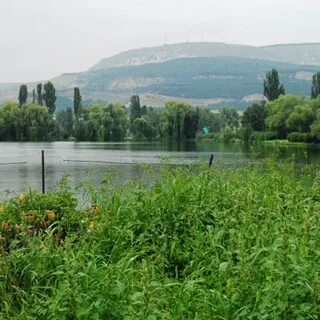 Шебекино короча