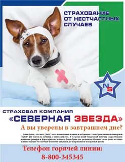 Страховой слоган