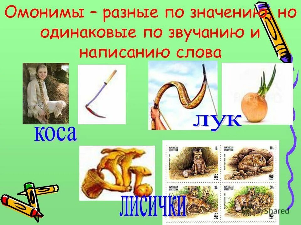 Слово с разными значениями