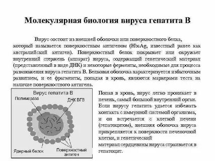 Поверхностный антиген вируса гепатита в
