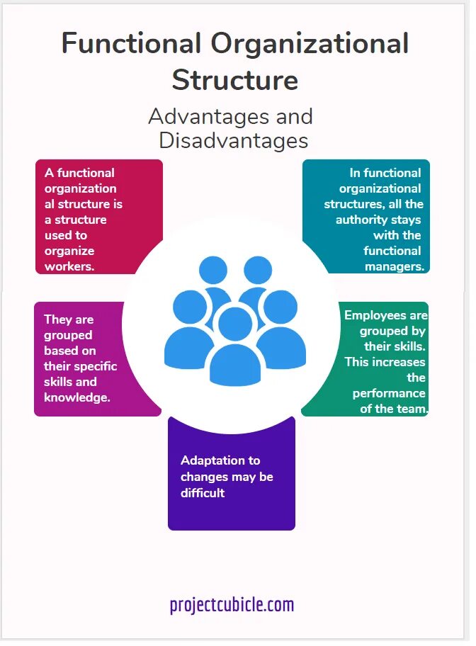 Struct function. Advantages and disadvantages of organizational structures. functional organization. functional structure. functions organization structure.