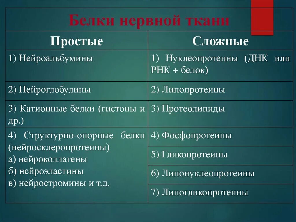 Белок s-100 функции. Нейроальбумины, нейроглобулины. Специфические белки нервной ткани. Особенности обмена нервной ткани. Белок нервной ткани.