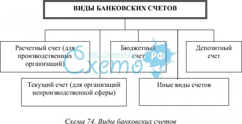 Виды банковских счетов. Разновидность банковского счета. Виды банковских счетов схема. Расчетный счет виды.