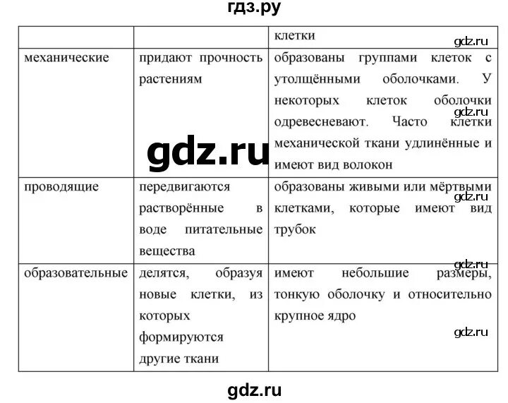 Биология 5 класс параграф 26 ответы. Биология 5 класс учебник Трайтак ответы. Биология 5 класс таблица.