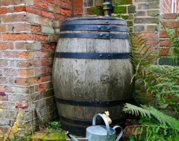 Дождевая бочка Rain Barrel 240 литров. Бочка для сбора дождевой воды. Деревянная бочка для воды. Бочка деревянная для сбора воды. Течет вода в бочке