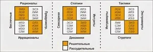 Рационал экстраверт сенсорик. Логико-сенсорный экстраверт. лсэ соционика. этико-сенсорный интроверт иррационал. этико-сенсорный экстраверт.