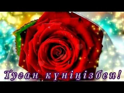 Қояндардың порнофотосуреттері