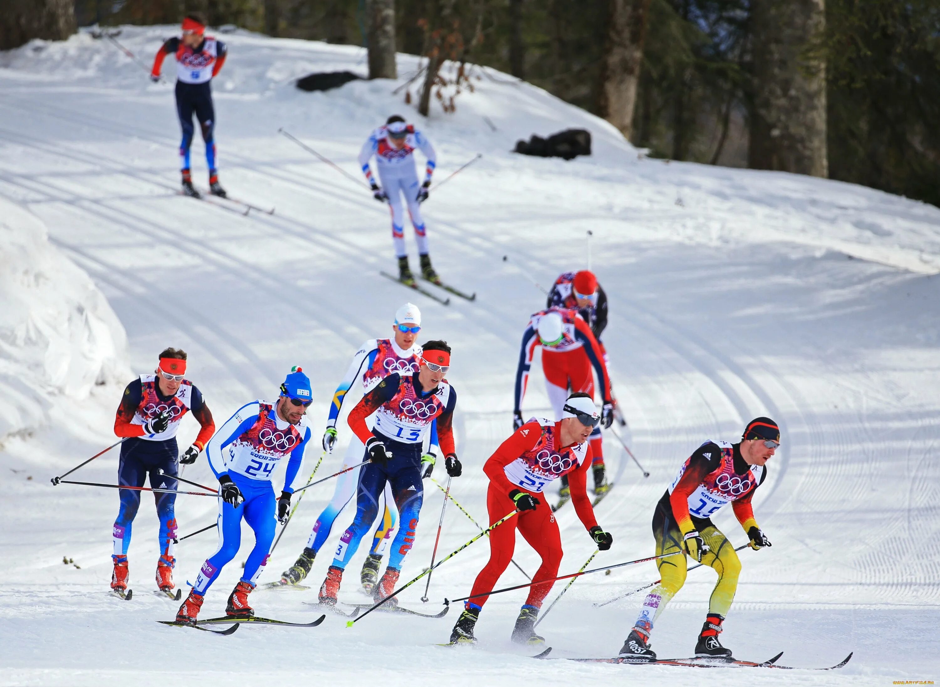 Биатлон зимний вид спорта впр 5. Ски кросс лыжи сои. Ски кросс лыжи Сочи. Лыжные гонки вид спорта. Вид спорта на л.