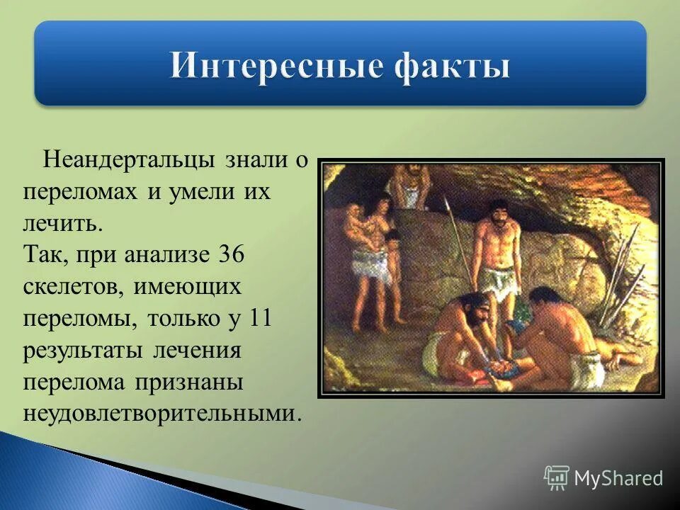 Неандерталец презентация. Неандертальцы сообщение. Презентация на тему неандертальцы. Презентация на тему неандертальцы. Архантроп неандерталец.