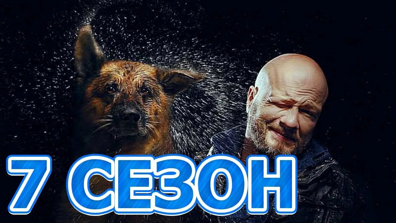 Пес 5 лето