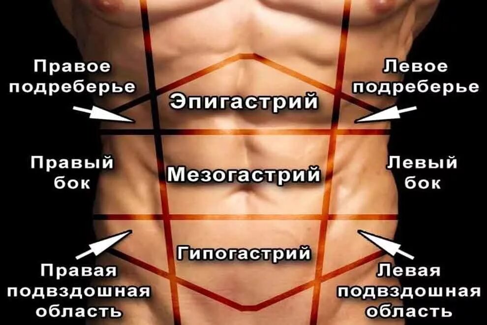 Левая сторона живота снизу у мужчин. Болит левый бок. Левой боковой области живота. Больвлевом подгеберье.