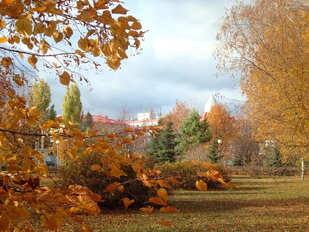 Октябрь йошкар. Тольятти осенью парк. Осень в Тольятти парк центрального района. Осенний Тольятти. Тольятти осень.