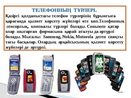 Клитор анатомиясы