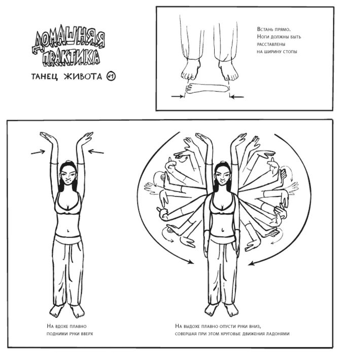 Уроки танца живота для начинающих в домашних. Танец живота самоучитель для начинающих базовые движения. Танец живота базовые движения для начинающих. Базовые движения восточных танцев для начинающих. Схема движений восточного танца.