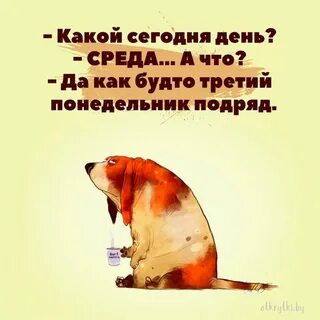 i?id=4926f9fd31cf78eadbee6dea42981f007e478947-8205921-images-thumbs&n=13