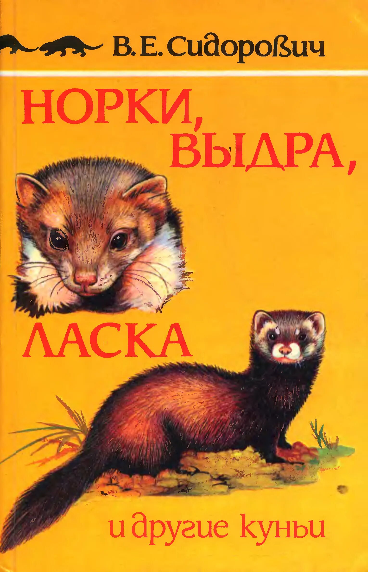 Стишок про норку. Американская норка костомукшского заповедника. Повесть норка максимов. Норка норка омонимы. Норка фото.