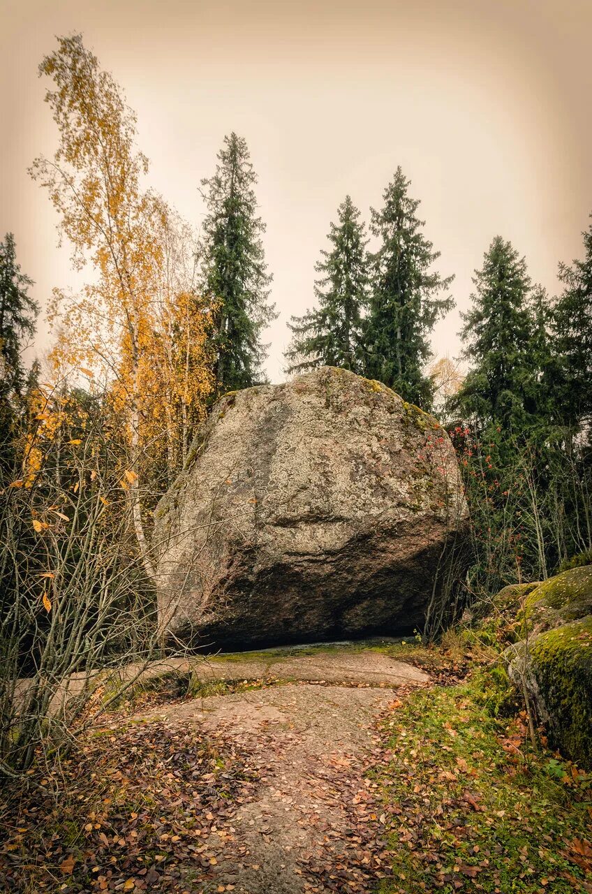 Stone fell. Монрепо парк Выборг валуны. Парк Монрепо падающий камень. Камни в Выборге в Монрепо. Парк Монрепо в Выборге падающий камень.