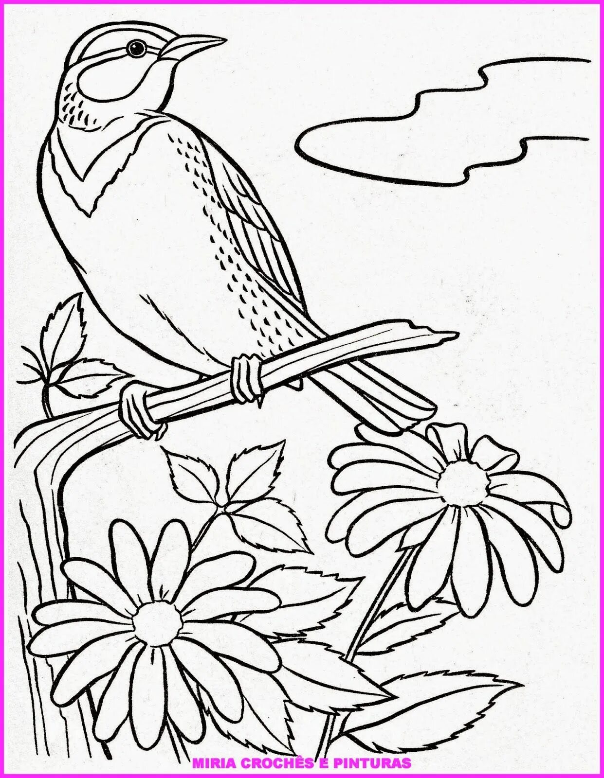 День птиц распечатать. Птичка раскраска. Птицы. Раскраска. Птичка картинка для детей раскраска. Птицы для раскрашивания для детей.