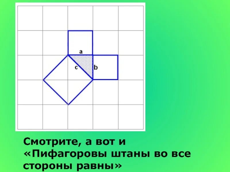 Пифагоровы штаны на все стороны равны что. Теорема Пифагора Пифагоровы штаны. Почему Пифагоровы штаны во все стороны равны. Пифагоровы штаны. Пифагоровы штаны во все стороны равны доказательство.