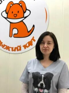 Рыжий кот оренбург