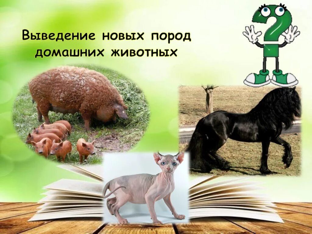 Выведение породы людей