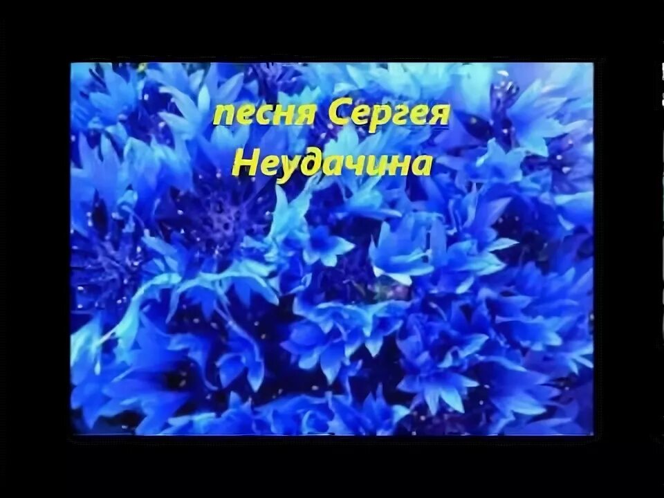 Васильки песня. Василек песенка. Васильки васильки песня. Песня Ой васильки.