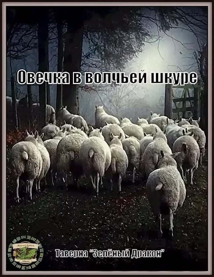 В защиту порицаемых. Овцы в волчьих шкурах блок. Овцы в волчьих шкурах блок. Овцы в волчьих шкурах блок. Бараны в темноте.