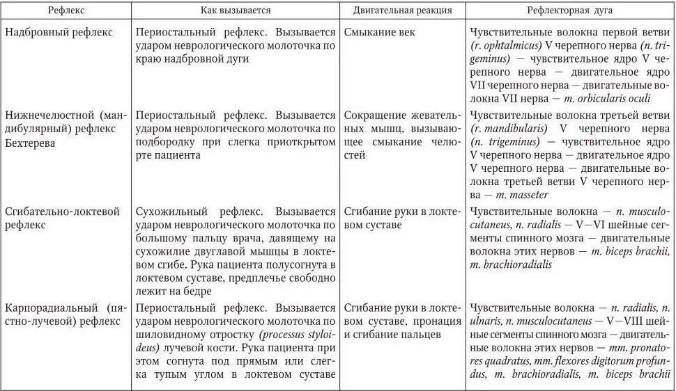 Рефлексы в норме. Оценка рефлексов неврология. Рефлексы неврология таблица. Сухожильные рефлексы патологические рефлексы. Патологические рефлексы неврология таблица.