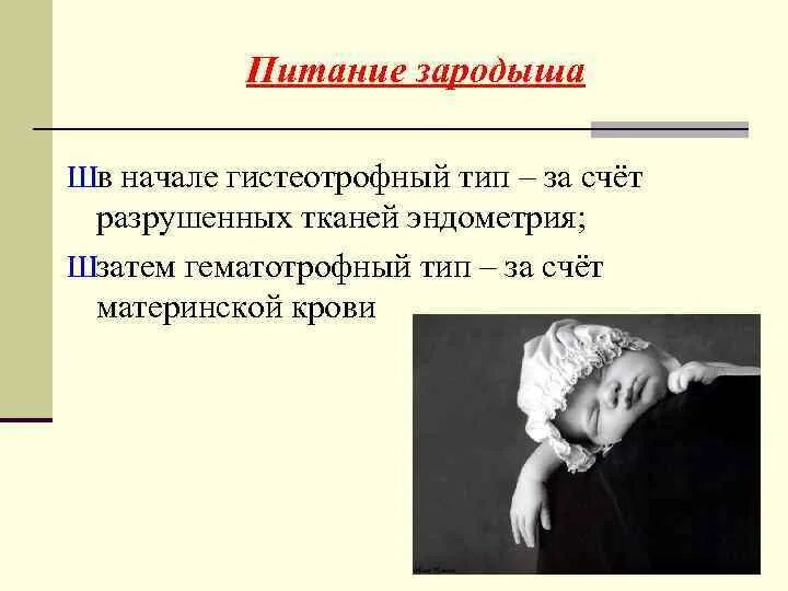 Типы питания зародыша