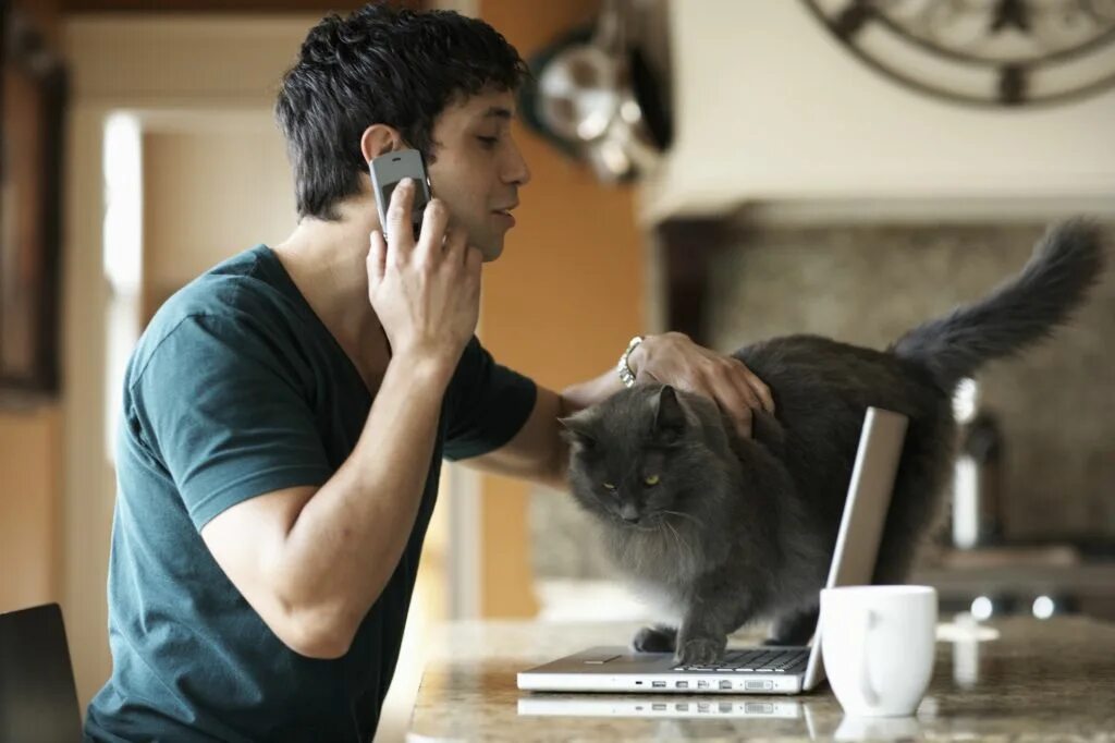 5 говорящих кошек. Парень с кошкой. Мужчина с котиком. Мужчина гладит кота. Человек играющий с котом.