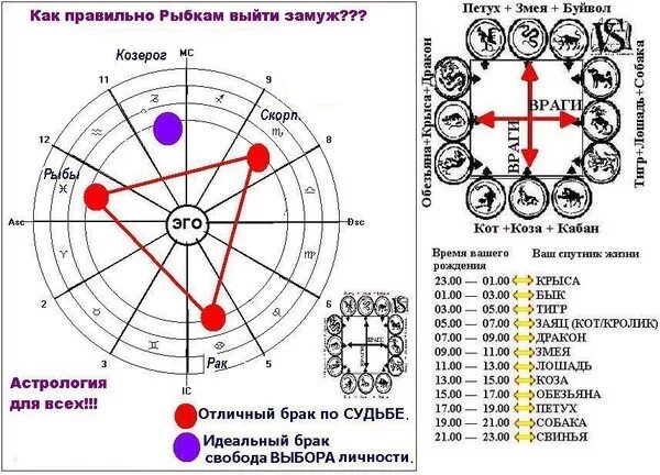 Совместимость козы в браке. Гороскоп совместимости. Гороскоп совместимости по знакам. Схема совместимость знака зодиака. Козерог в год петуха.