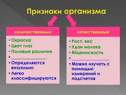 Признаки и примеры народной культуры