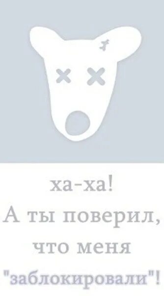 Listeners - D.Anonym Last.fm