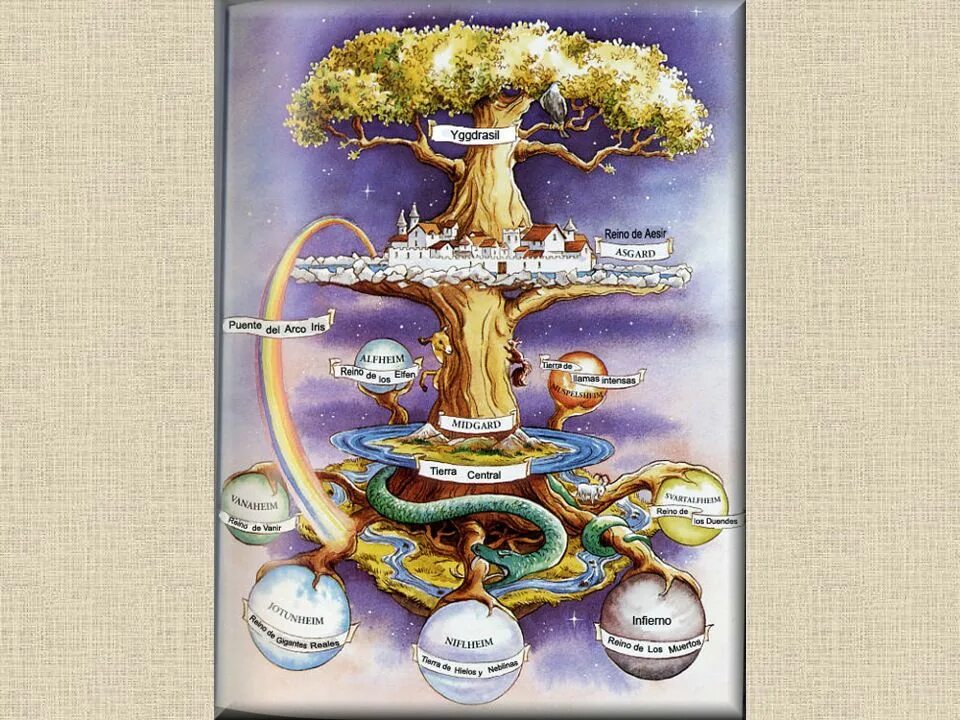 иггдрасиль мировое древо и 9 миров. древо иггдрасиль 9 миров. исполинский ясень иггдрасиль. мировое древо жизни иггдрасиль. древо иггдрасиль 9.