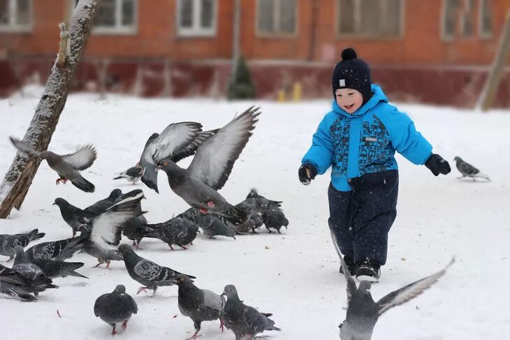 Жил недорослем гонял голубей. Дети гоняют птиц. Мальчик гоняет голубей. Мальчик голуби зима. Голубь зимой для детей.