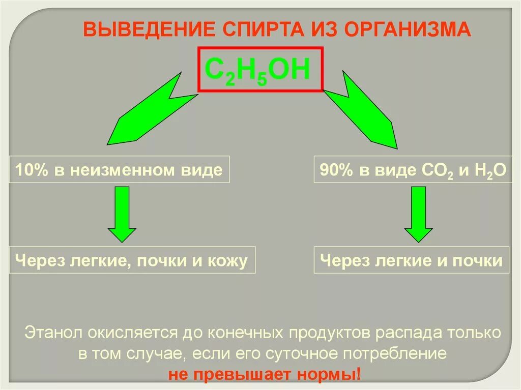 Воздействие на организм человека метанола и этанола. Влияние этанола на организм человека. Вывод этилового спирта. Вывод этилового спирта. Вывод этилового спирта.