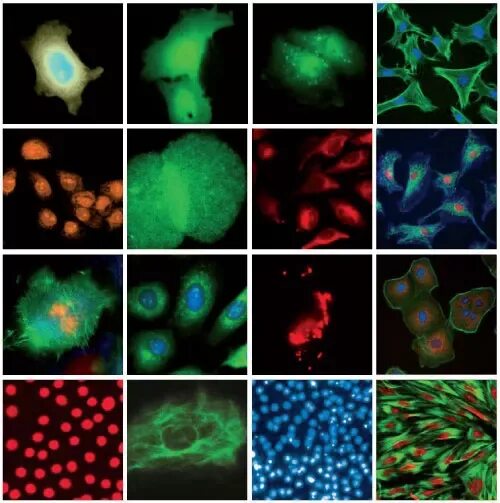 Тип свечения. 4. Таблица света в кельвинах светодиодных ламп. Шкала цветовой температуры ламп. Цветовая температура 4500к.