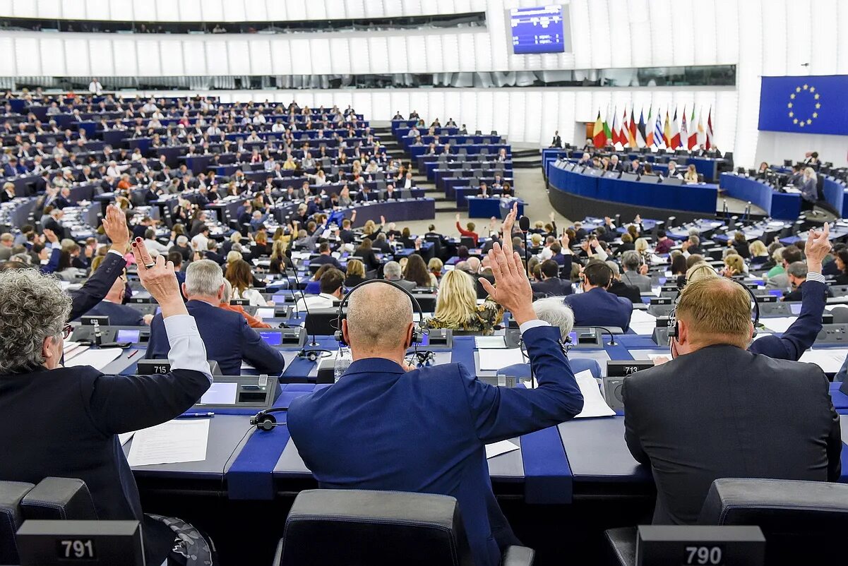 Выступление в европарламенте
