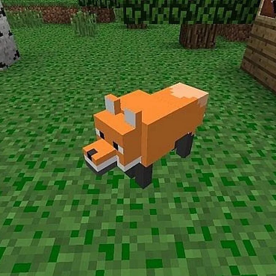 Cats mod minecraft