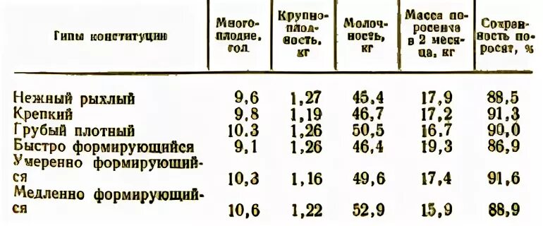 Плотный тип
