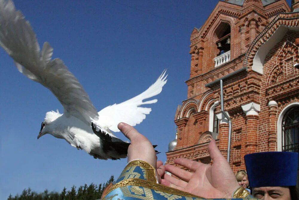 Какой сегодня праздник благовещение. С Благовещением Пресвятой Богородицы. Благовещение Пресвятой Богородицы голуби. Благовещение Пресвятой Богородицы выпускать птиц. С праздником Благовещения Пресвятой.