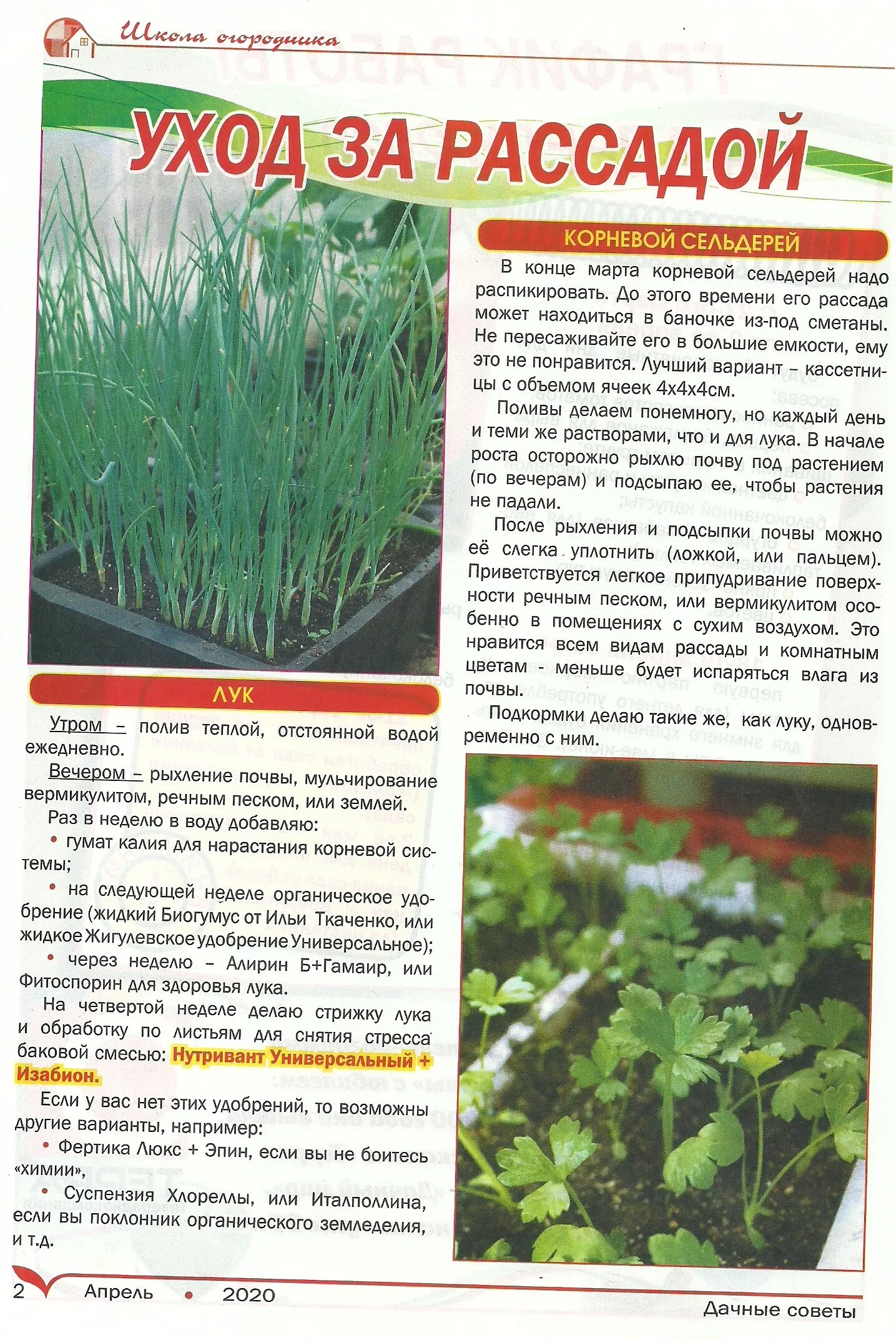 дачные советы. дачные советы с галиной. дачные советы с галиной. дачные советы с галиной старосельцевой. дачные советы с галиной.