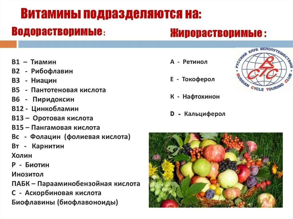 Группа самых полезных витаминов. Витамины классификация витаминов биологическая роль витаминов. Витамины в продуктах питания. Талица витамины где содержится. Витамины гр в.