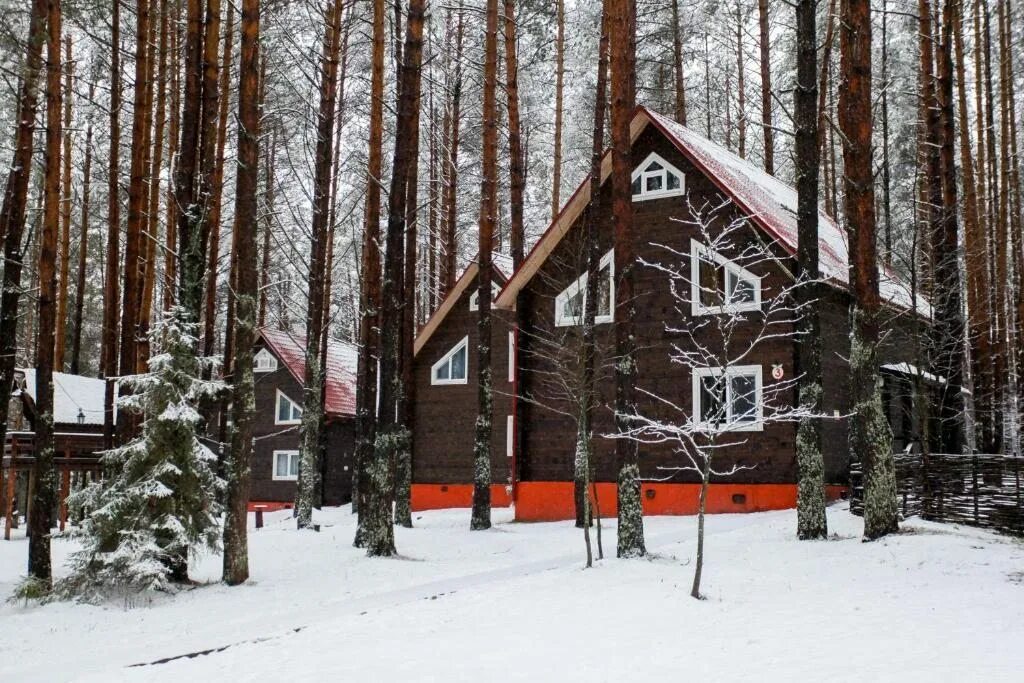 Нижегородская область отдых новый год. Турбаза юг нижегородская область на горьковском море. Турбаза акватория нижегородская область. Турбаза акватория горьковское море. Ильдорф.