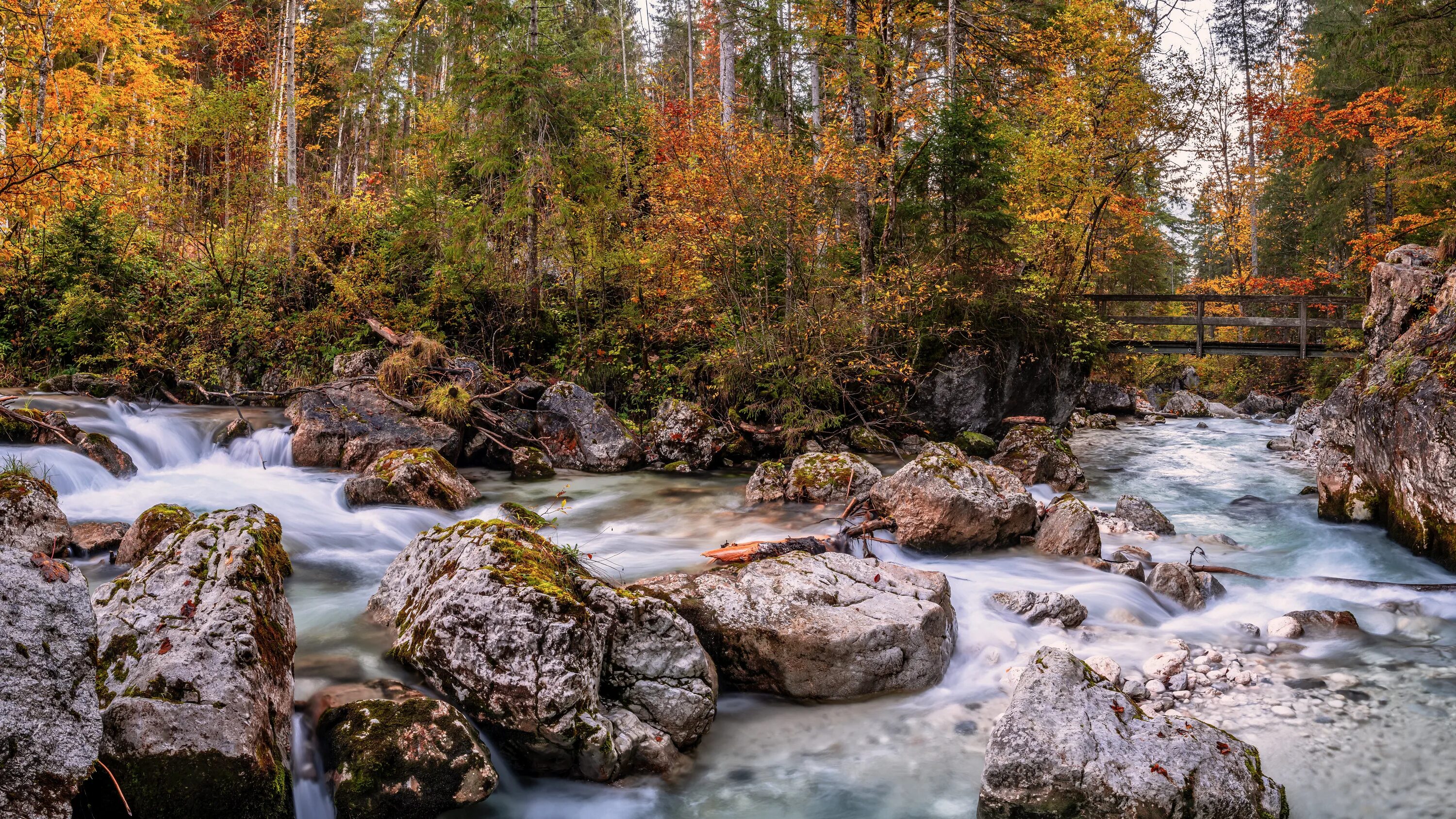 Stone fall. Лес осень река камни. Лесная река. Осень река камни. Река осень мостик.