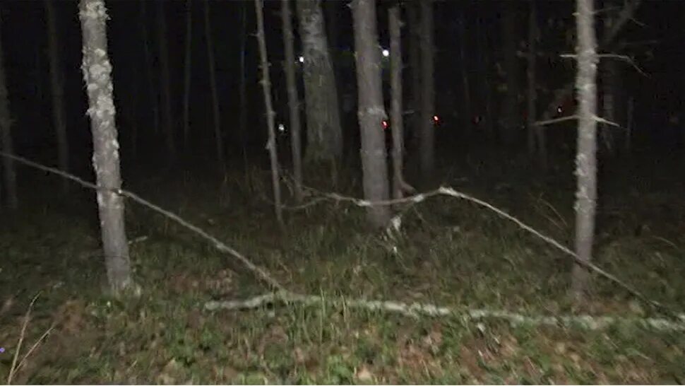 видеозаписи мальчики. снежный человек в свердловской области. потерявшийся мальчик в чите нашелся. потерялся маленький мальчик из аэродрома в дагестане. нашли останки людей в лесу в увинском районе.