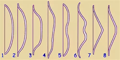 Лук с двойным изгибом. Лук с четырьмя изгибами. Лук в четыре загиба. Лук трёхгранный.