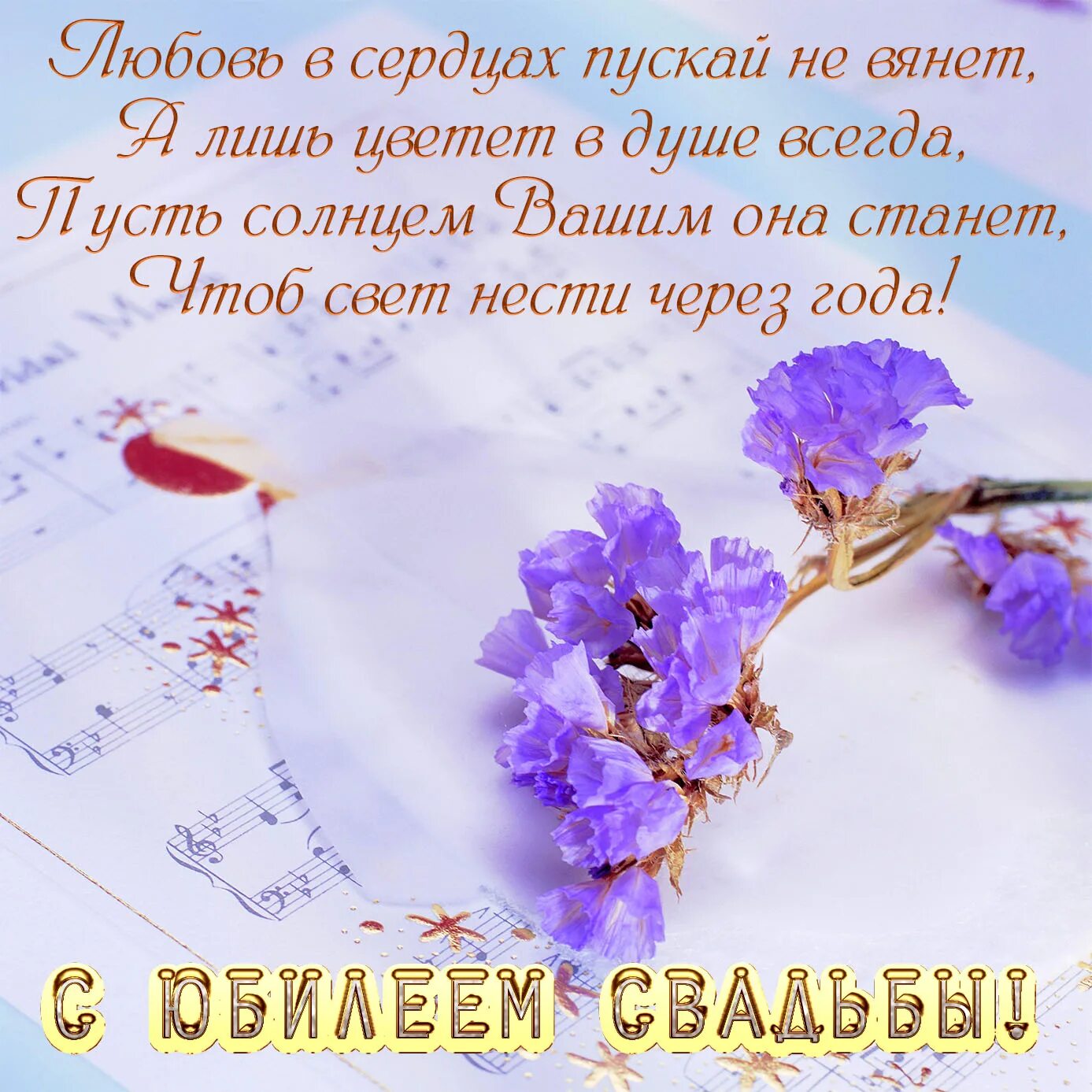 46 Лет свадьбы поздравления. Лавандовая свадьба поздравление. Поздравление с 46 годовщиной свадьбы. 46 Лет свадьбы поздравления родителям.