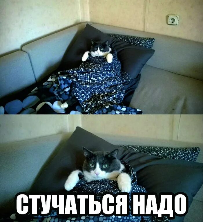 Мужчина стучит в дверь. Надпись стучите. Стучите в дверь надпись. Постучите в дверь табличка. Надо постучать.